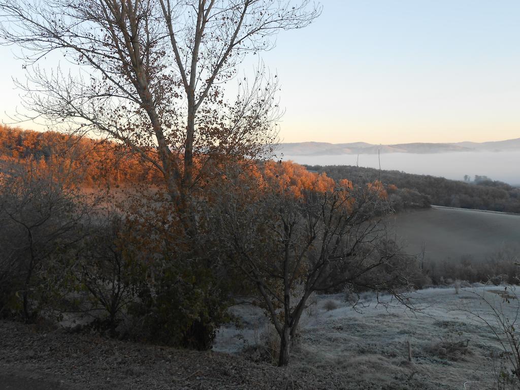 Gite Des Monts Saint-Izaire Exteriér fotografie