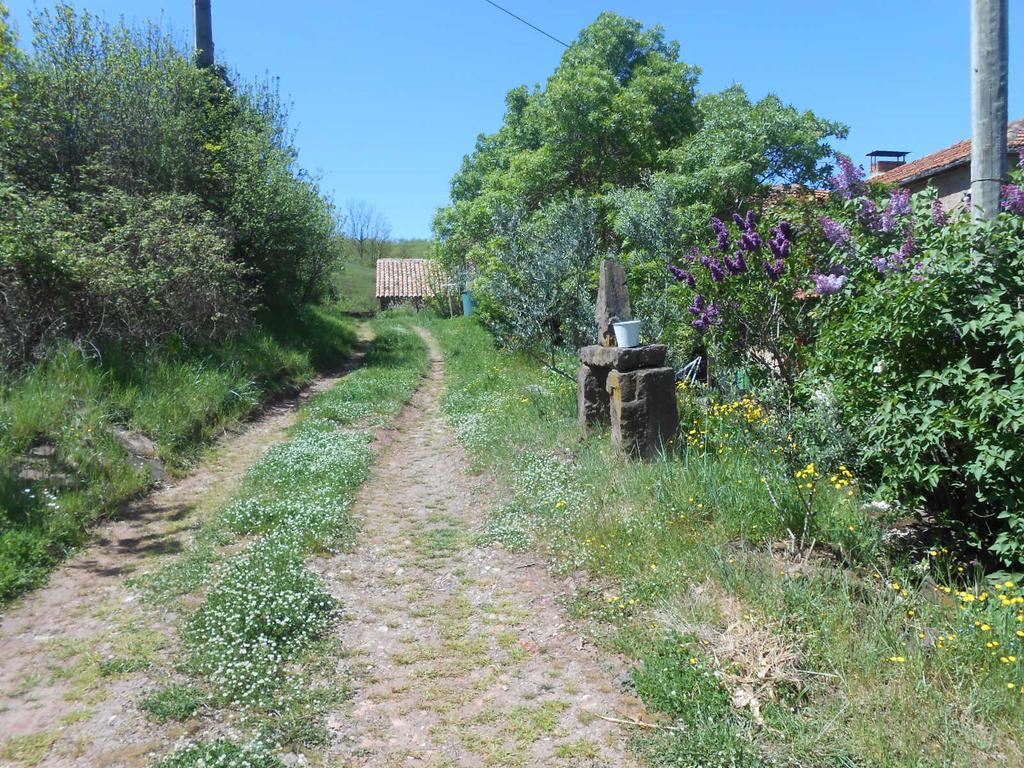 Gite Des Monts Saint-Izaire Exteriér fotografie