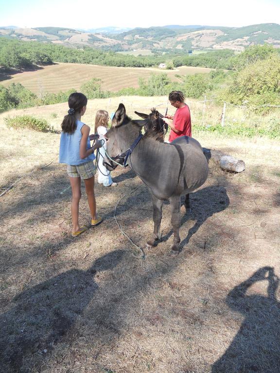Gite Des Monts Saint-Izaire Exteriér fotografie
