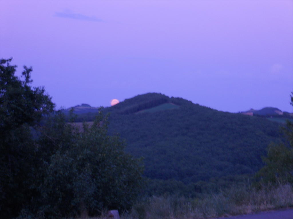 Gite Des Monts Saint-Izaire Exteriér fotografie