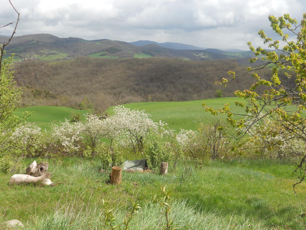 Gite Des Monts Saint-Izaire Exteriér fotografie